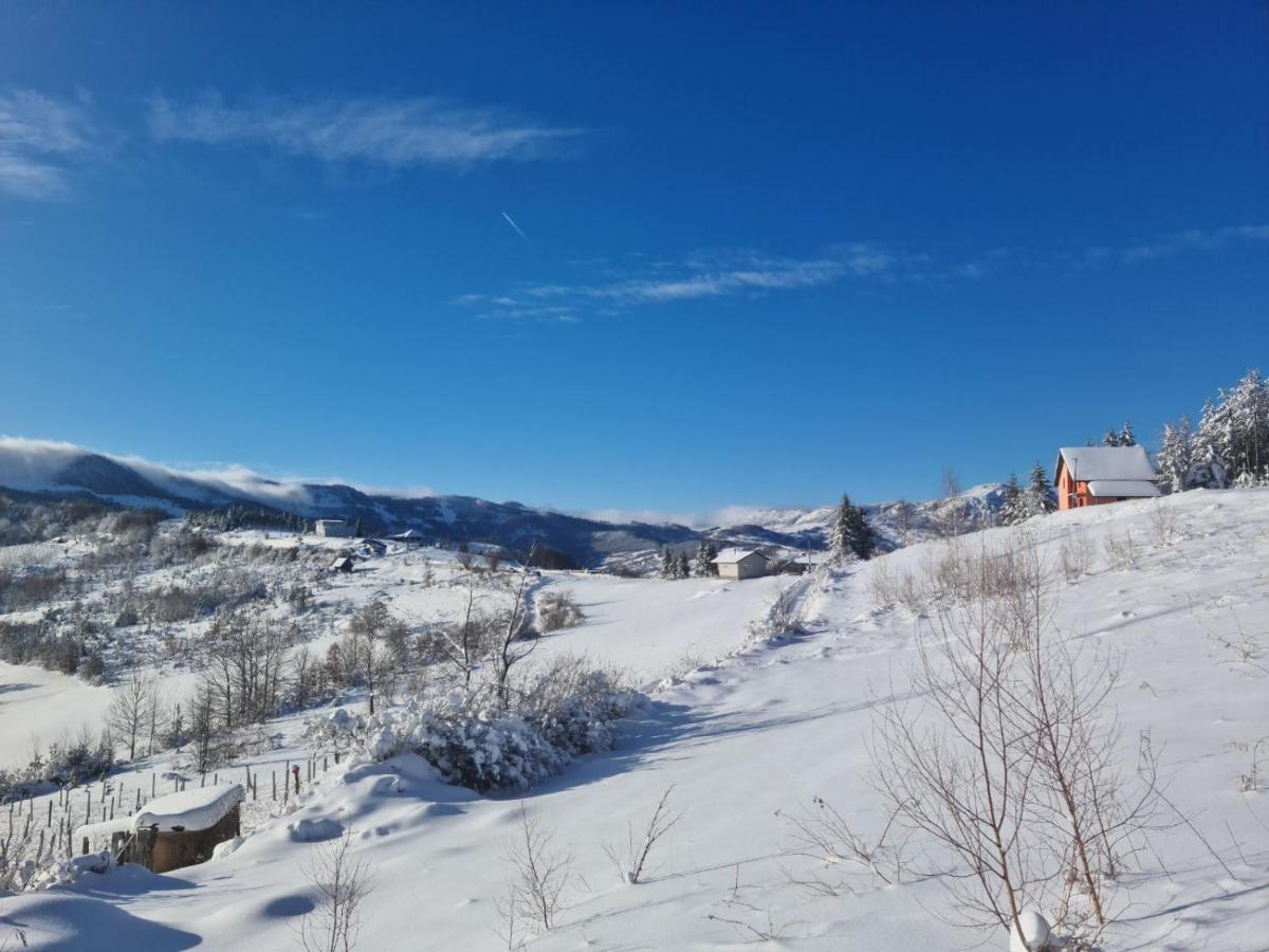Cortina Resort イヴァニツァ エクステリア 写真