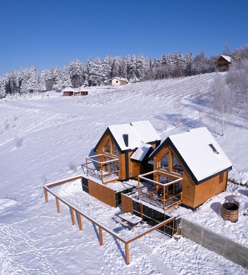 Cortina Resort イヴァニツァ エクステリア 写真