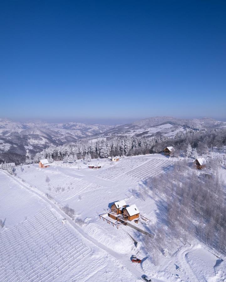 Cortina Resort イヴァニツァ エクステリア 写真